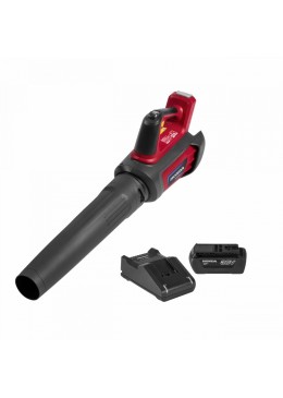 SOUFFLEUR A BATTERIE HONDA HHB36 bXB avec pack...