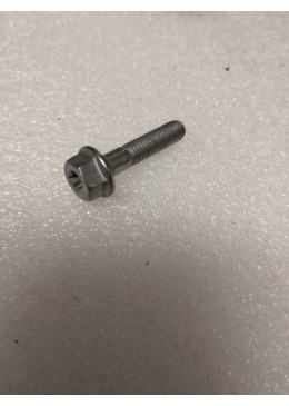 VIS M6X28 EMPREINTE TORX