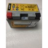 Batterie tondeuse autoportée cub cadet MTD 12v 11AH
