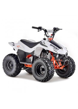 Pocket quad CANADA enfant 50cc - Quads Motos Familly Pièces quads 34